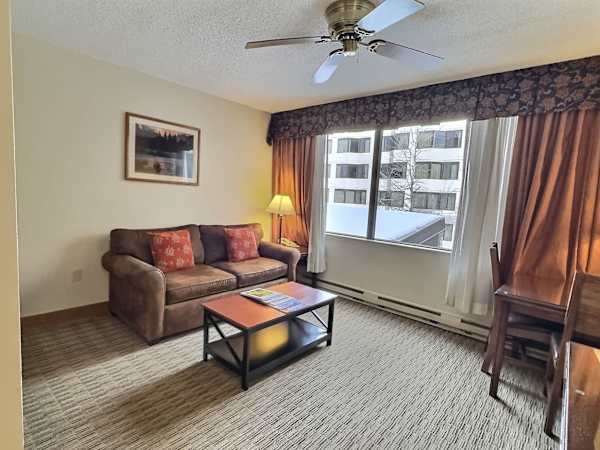 Living area with the pull-out couch | Listed with @BookTraverse