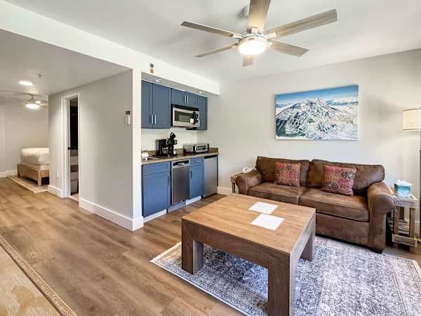 Crested Butte Ski Suite, Pool & Hot Tub in Colorado - photo 4