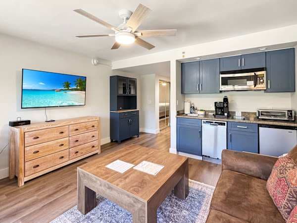 Crested Butte Ski Suite, Pool & Hot Tub in Colorado - photo 2