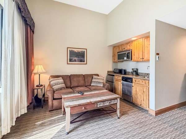 Living area with Pull out sofe and kitchenette