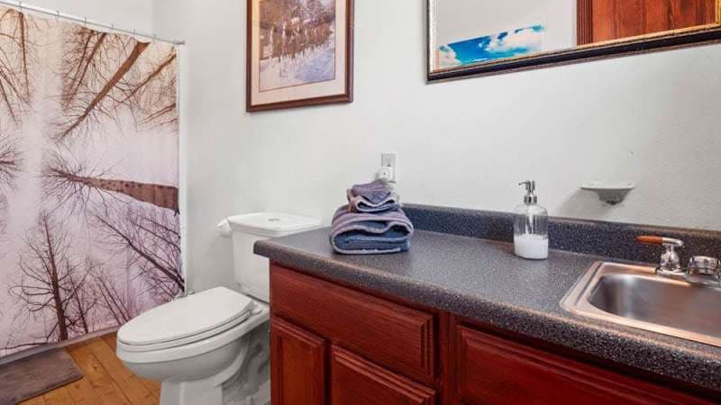 Suite w/ Hot Tub, Pool Table, Sauna, Spacious Deck