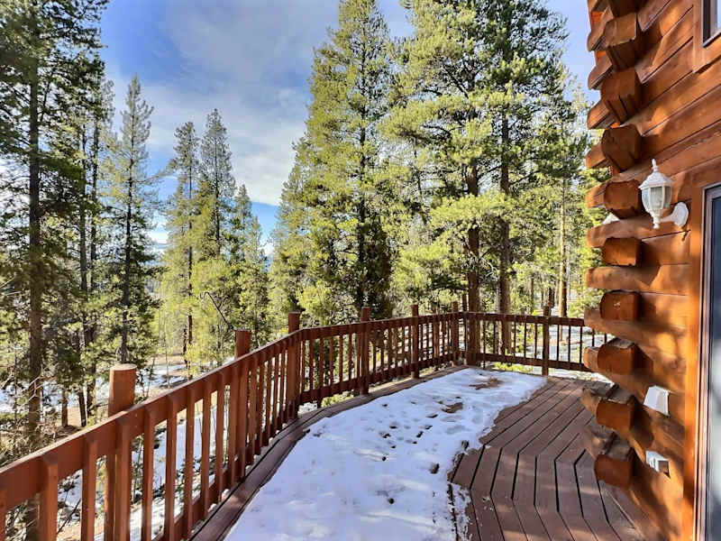 Mountain Log Home-Among Lodgepole Pines