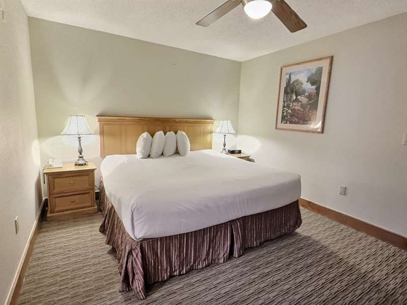 Pets OK, Ski In/Out, Pool, Hot Tub & Affordable!